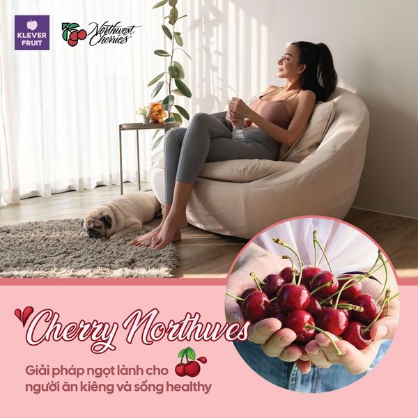 Lối Sống Lành Sống Sang – Xu Hướng Tái Định Nghĩa Cuộc Sống Hiện Đại