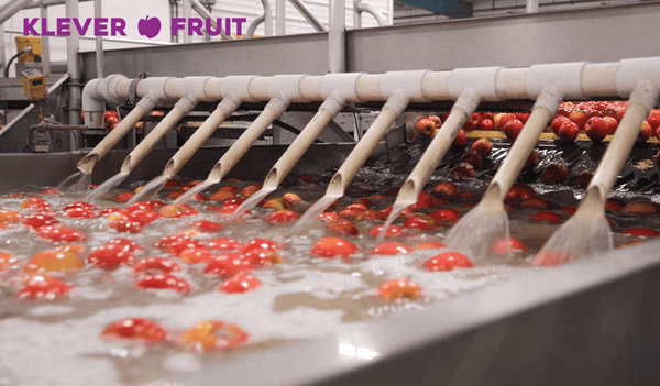 Khám Phá Cherry Vàng Mỹ – Viên Ngọc Quý Của Trái Cây Nhập Khẩu Tại Klever Fruit