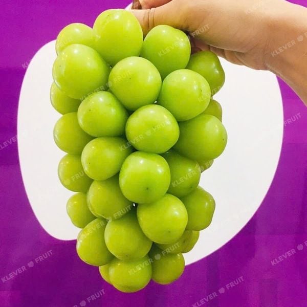 Nho Mẫu Đơn Shine Muscat Hàn Quốc – Vì Sao Đắt Nhưng Vẫn Cháy Hàng?