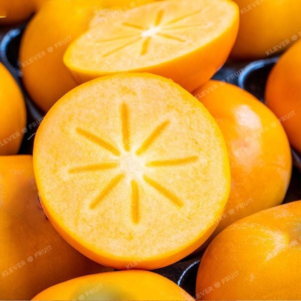 Chào Mừng Mùa Hồng Hot House New Zealand 2025 Mới Về – Thượng Hạng Từ Klever Fruit