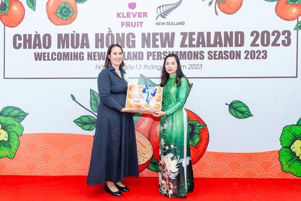 Chào Mừng Mùa Hồng Hot House New Zealand 2025 Mới Về – Thượng Hạng Từ Klever Fruit