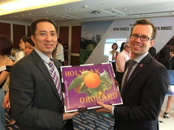 Chào Mừng Mùa Hồng Hot House New Zealand 2025 Mới Về – Thượng Hạng Từ Klever Fruit