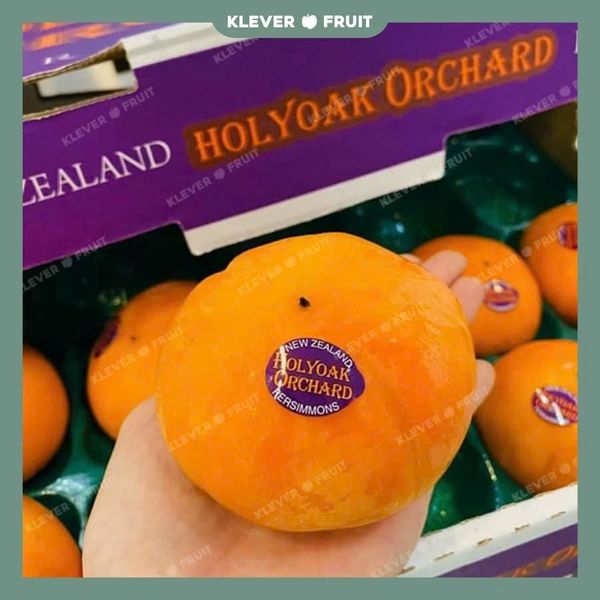 Chào Mừng Mùa Hồng Hot House New Zealand 2025 Mới Về – Thượng Hạng Từ Klever Fruit