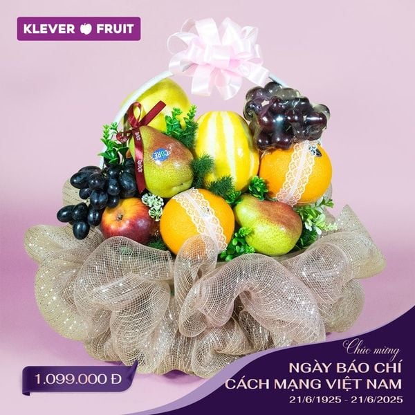 Giỏ Quà Báo Chí Việt Nam 21/6 - 1.099k: Món Quà Tri Ân Đẳng Cấp Từ Klever Fruit