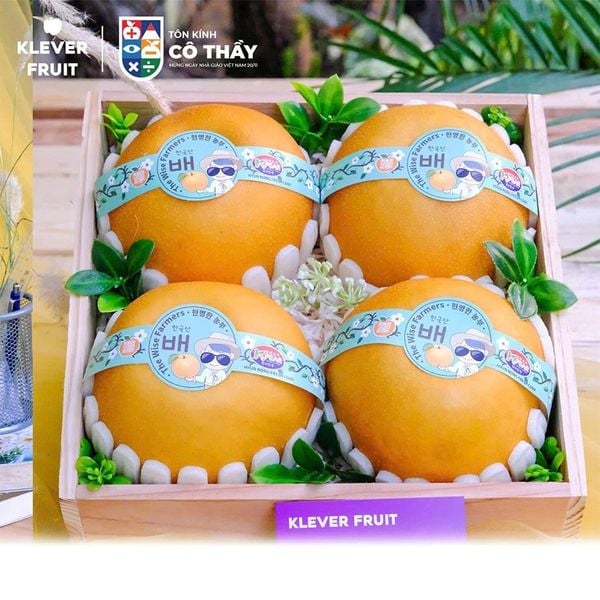 Hộp Quà Tặng Lễ 20/11 - Thay Lời Tri Ân Thầy Cô