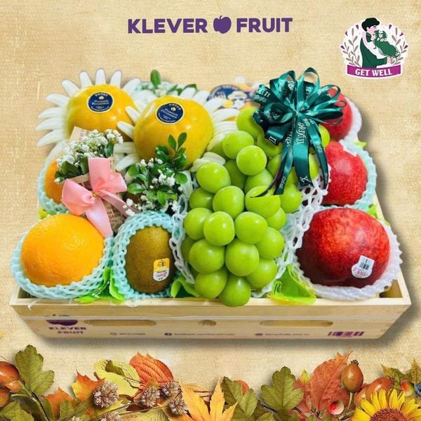 Hộp Trái Cây Tone Xanh Lá Cao Cấp Chúc Sức Khỏe Người Yêu