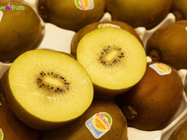 Chào Mừng Mùa Kiwi New Zealand 2025 Mới Về Tươi Ngon Thượng Hạng Tại Klever Fruit