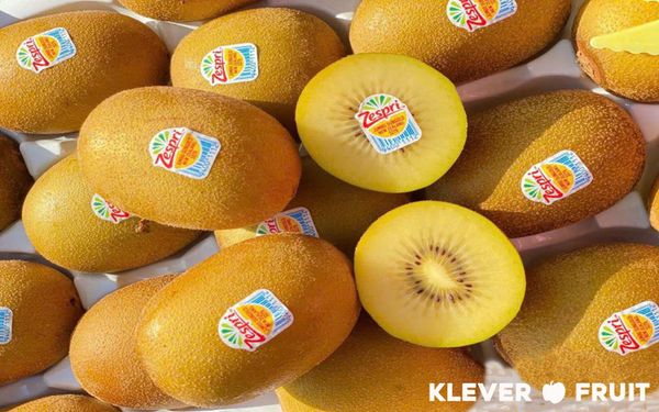 Chào Mừng Mùa Kiwi New Zealand 2025 Mới Về Tươi Ngon Thượng Hạng Tại Klever Fruit