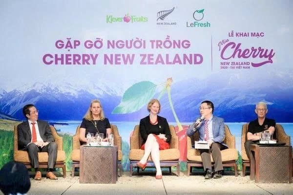 Các Loại Cherry Trên Thế Giới – Cherry Nào Ngon Nhất Tại Klever Fruit?