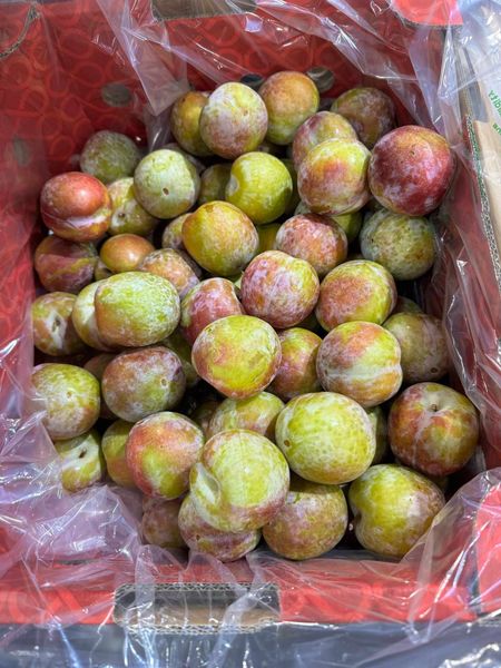 Mận Úc Trở Lại Việt Nam Sau Một Thập Kỷ – Klever Fruit Tiên Phong Đưa Giống Mới Về Nước