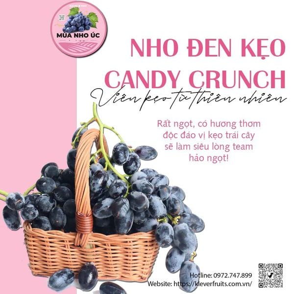 Nho kẹo