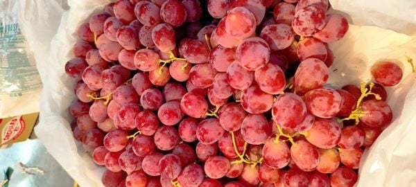 Nho Đỏ Có Hát Úc tại Klever Fruit