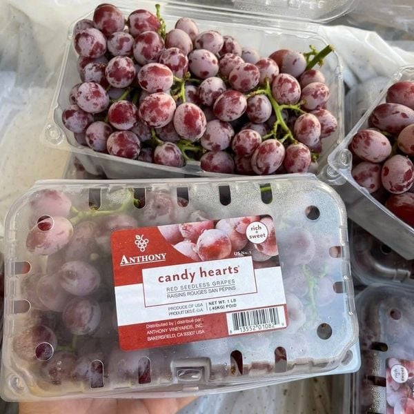 Top 7 Loại Nho Kẹo Ngon Nhất Thế Giới Tại Klever Fruit