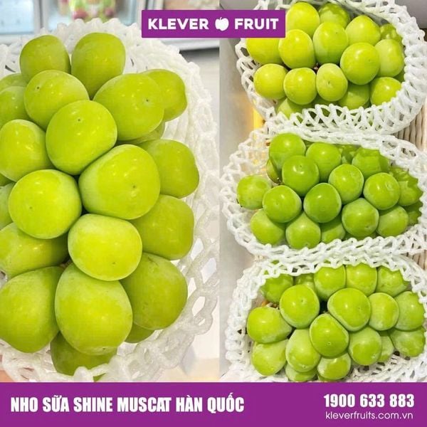 Gợi Ý Cho Mẹ Các Loại Trái Cây Cho Bé Ăn Dặm Và Cách Chế Biến Phù Hợp