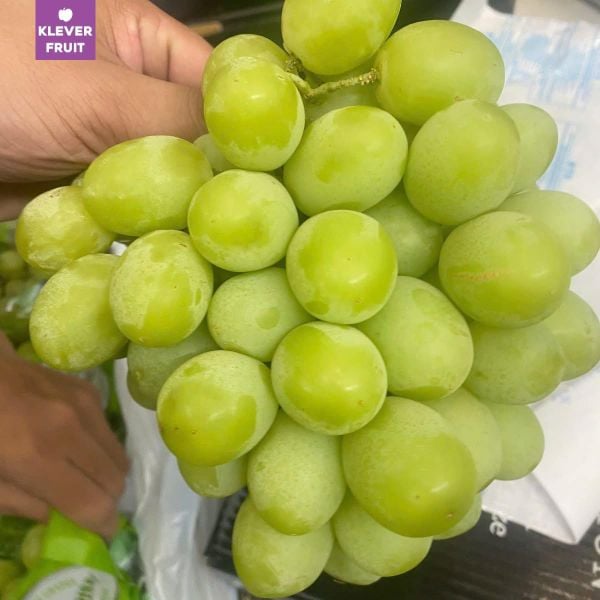 Nho Autumn Crisp – Viên Ngọc Xanh Giòn Ngọt Nhập Khẩu Tại Klever Fruit