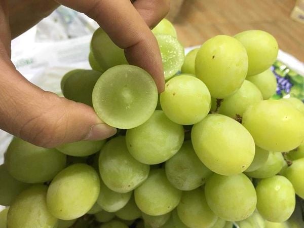 Nho Autumn Crisp – Viên Ngọc Xanh Giòn Ngọt Nhập Khẩu Tại Klever Fruit