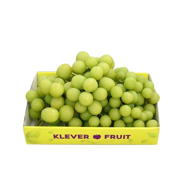Top 4 Loại Nho Nhập Khẩu Đang Mùa Tại Klever Fruit – Thưởng Thức Vị Ngon Đỉnh Cao 🍇✨
