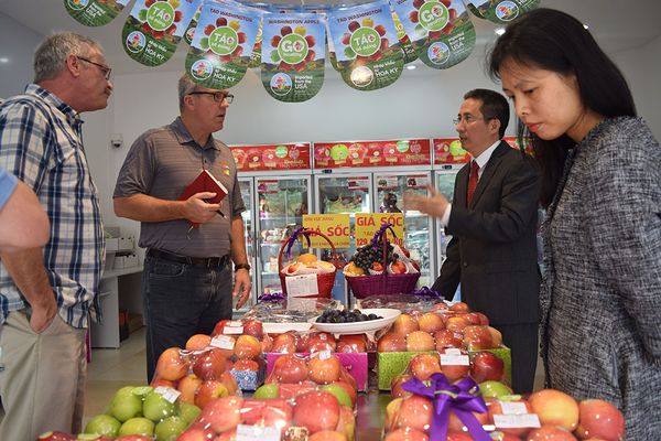 Chủ tịch Hiệp hội táo Washington khảo sát thị trường trái cây nhập khẩu Việt Nam