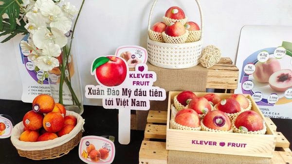 Đào và Xuân Đào Mỹ