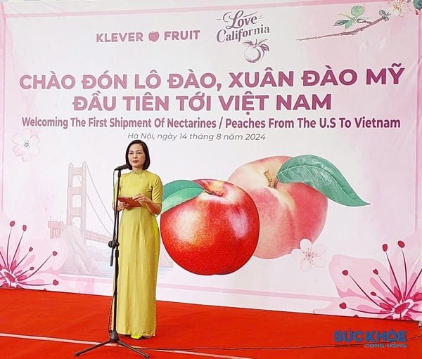 KLEVER FRUIT CHÀO ĐÓN LÔ ĐÀO, XUÂN ĐÀO MỸ ĐẦU TIÊN TỚI VIỆT NAM