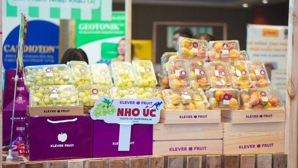 klever-fruit-dai-dien-duy-nhat-trai-cay-nhap-khau-tai-taste-of-australia-2025