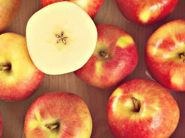 Táo Ambrosia Canada Size Nhỏ – Hương Vị Thần Thánh Từ Klever Fruit