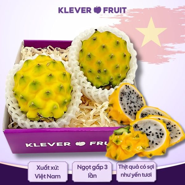 Thanh Long Tổ Yến giống Ecuador tại Klever Fruit