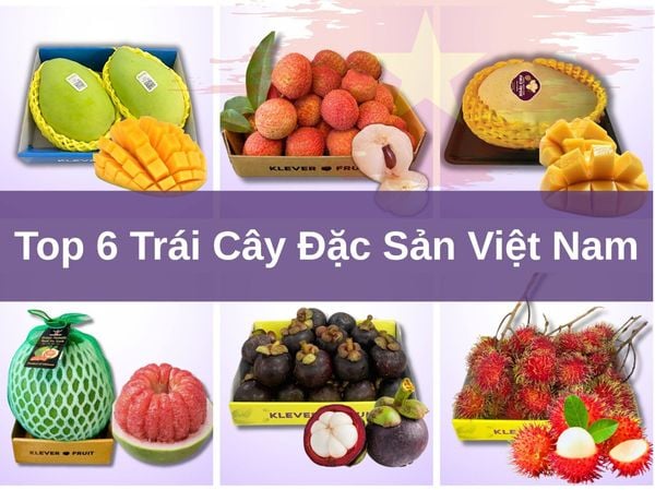 Top 6 Trái Cây Đặc Sản Việt Nam – Quà Tặng Tinh Tế Cho Khách Quốc Tế