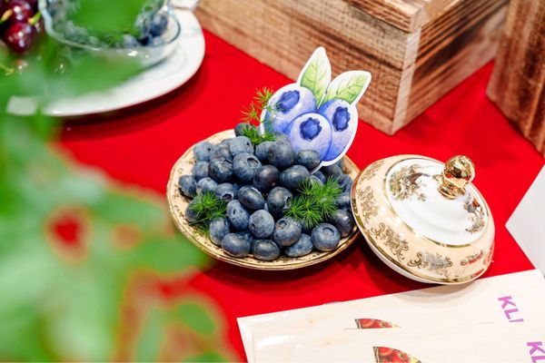 Việt Quất Canada quả to, căng mọng