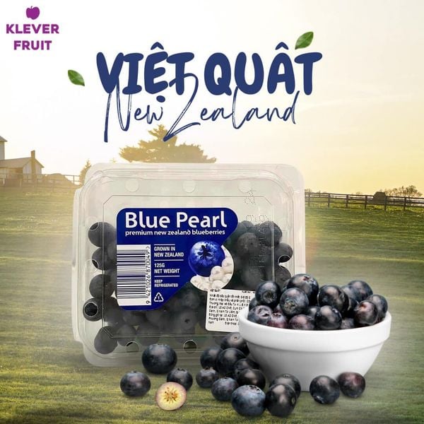 Quả Việt Quất – Tất Tần Tật Về Siêu Trái Cây Tốt Cho Sức Khỏe Tại Klever Fruit