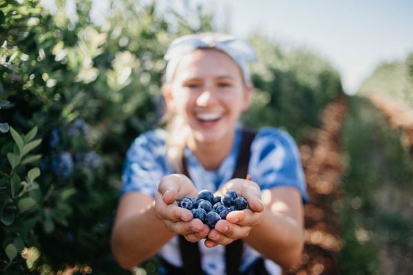 Quả Việt Quất – Tất Tần Tật Về Siêu Trái Cây Tốt Cho Sức Khỏe Tại Klever Fruit
