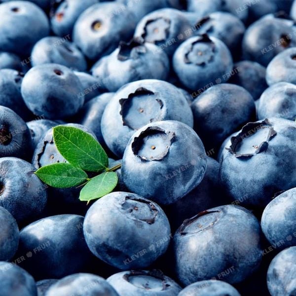 Quả Việt Quất – Tất Tần Tật Về Siêu Trái Cây Tốt Cho Sức Khỏe Tại Klever Fruit