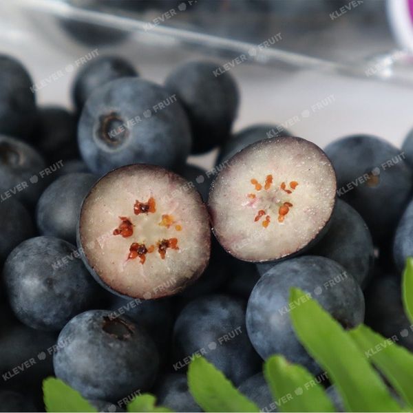 Quả Việt Quất – Tất Tần Tật Về Siêu Trái Cây Tốt Cho Sức Khỏe Tại Klever Fruit