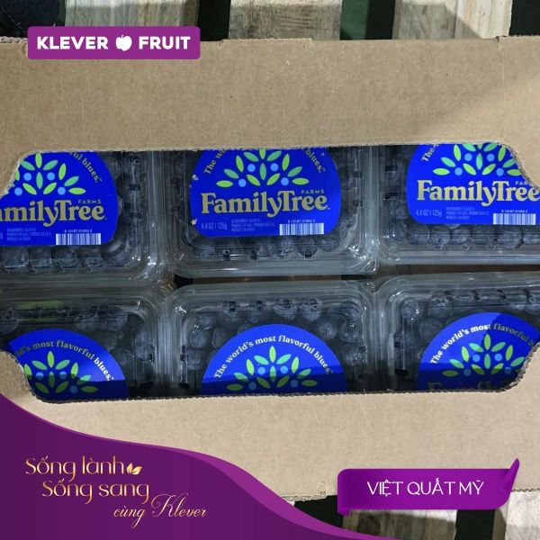 Quả Việt Quất – Tất Tần Tật Về Siêu Trái Cây Tốt Cho Sức Khỏe Tại Klever Fruit