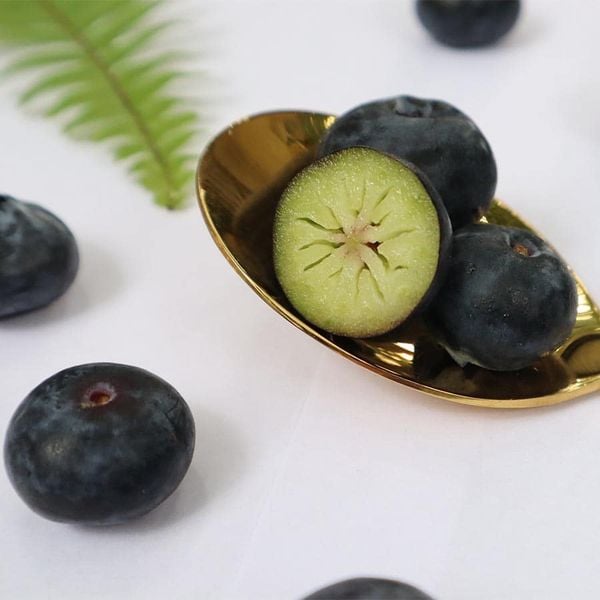 Quả Việt Quất – Tất Tần Tật Về Siêu Trái Cây Tốt Cho Sức Khỏe Tại Klever Fruit