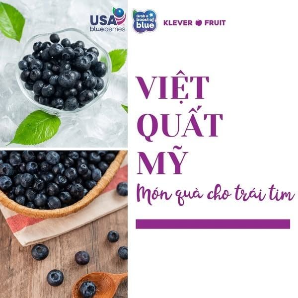 Quả Việt Quất – Tất Tần Tật Về Siêu Trái Cây Tốt Cho Sức Khỏe Tại Klever Fruit