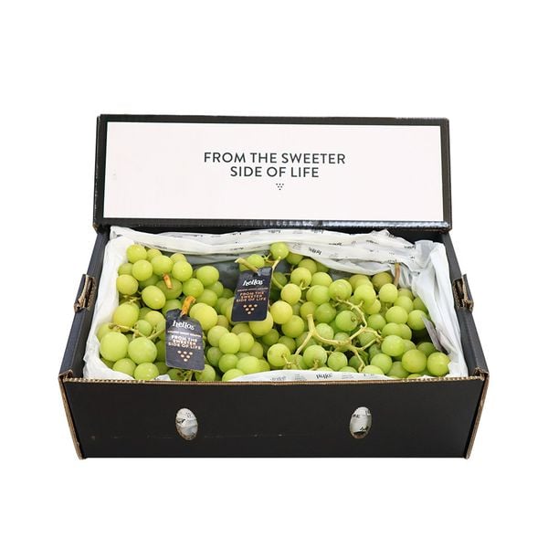 Nho Xanh Không Hạt VIP chủng Autumn Crisp