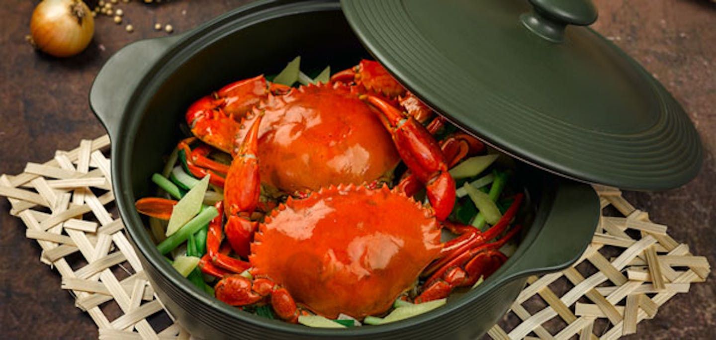 Sự đa năng của sứ dưỡng sinh Minh Long