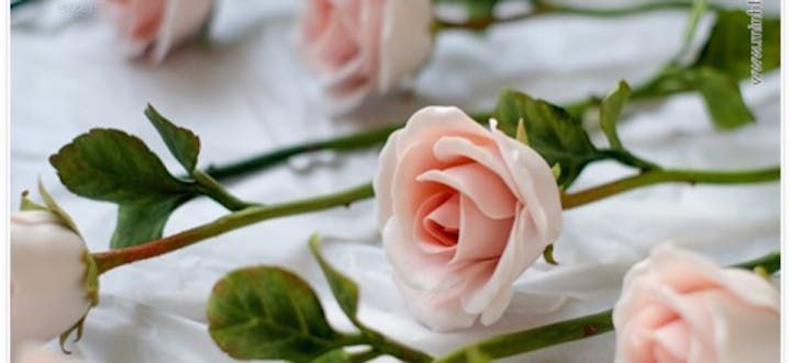 Hoa hồng sứ - quà tặng độc đáo cho dịp 8/3