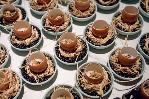 MICHELIN GUIDE 2025: KHI SỨ VIỆT ĐỒNG HÀNH TRONG HÀNH TRÌNH ẨM THỰC ĐỈNH CAO