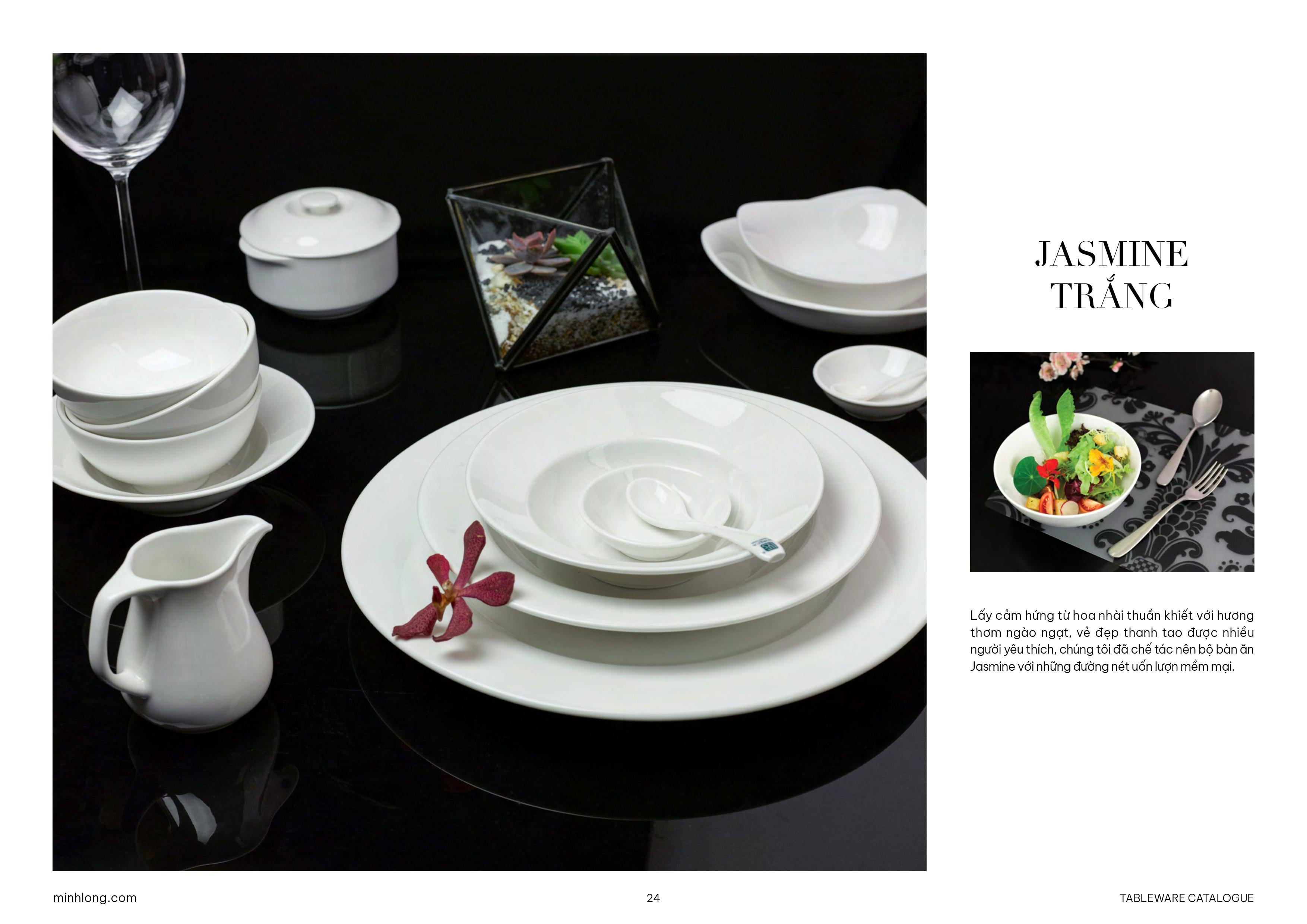 BỘ TRẮNG & NHÓM KHÁC