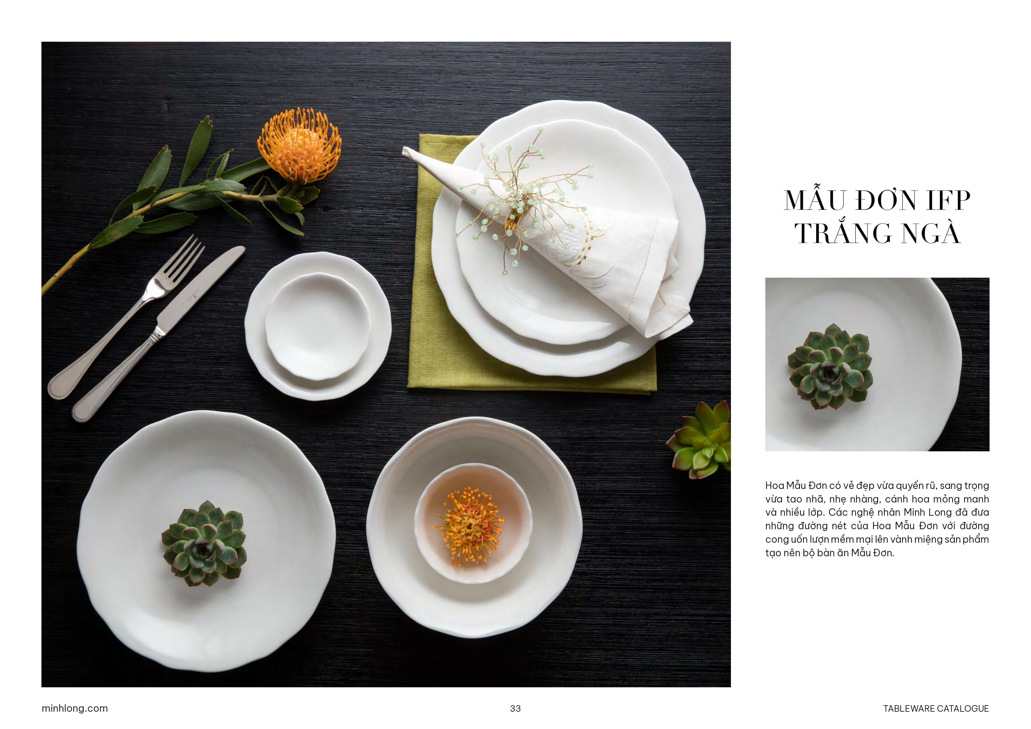 BỘ TRẮNG & NHÓM KHÁC