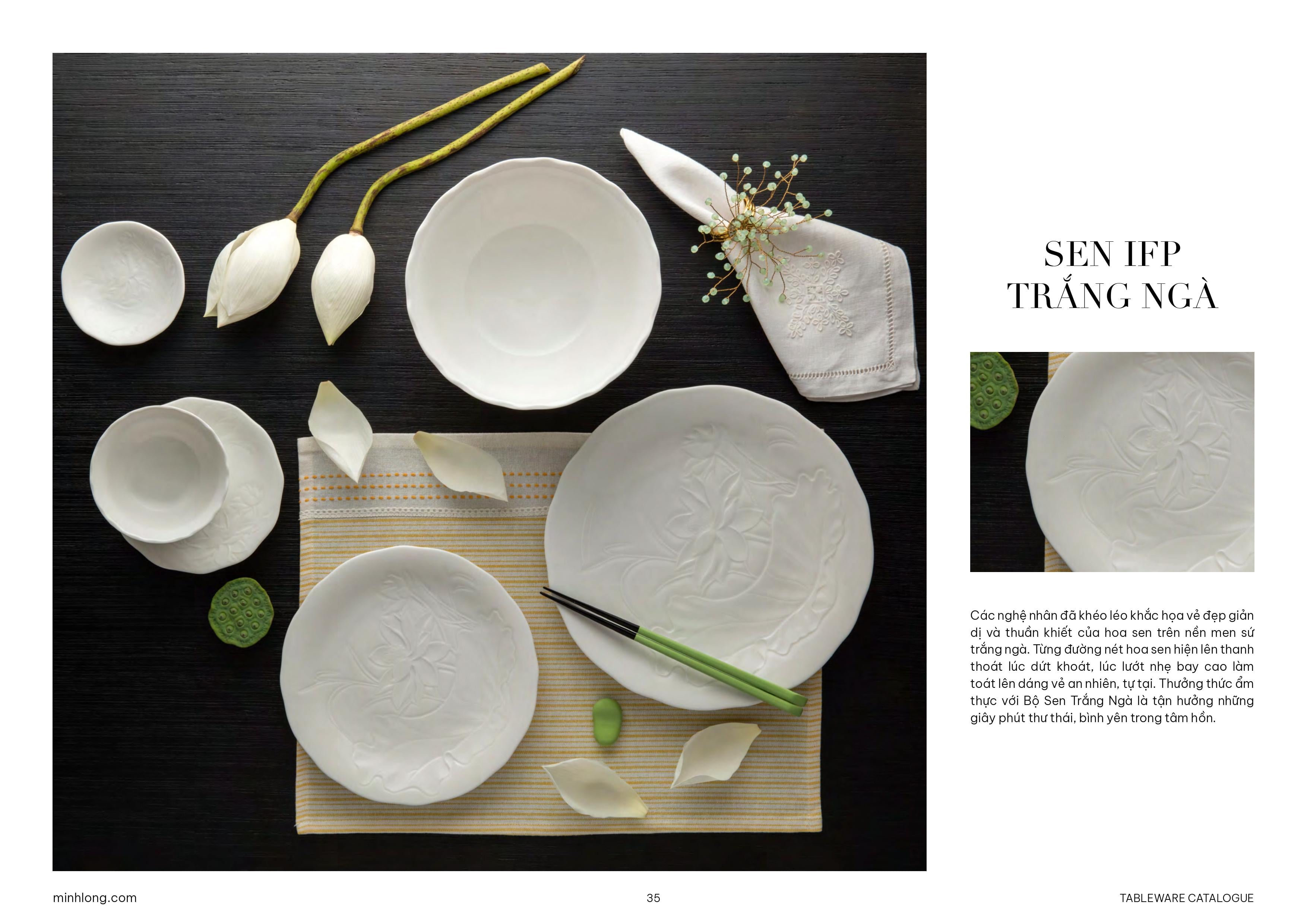 BỘ TRẮNG & NHÓM KHÁC