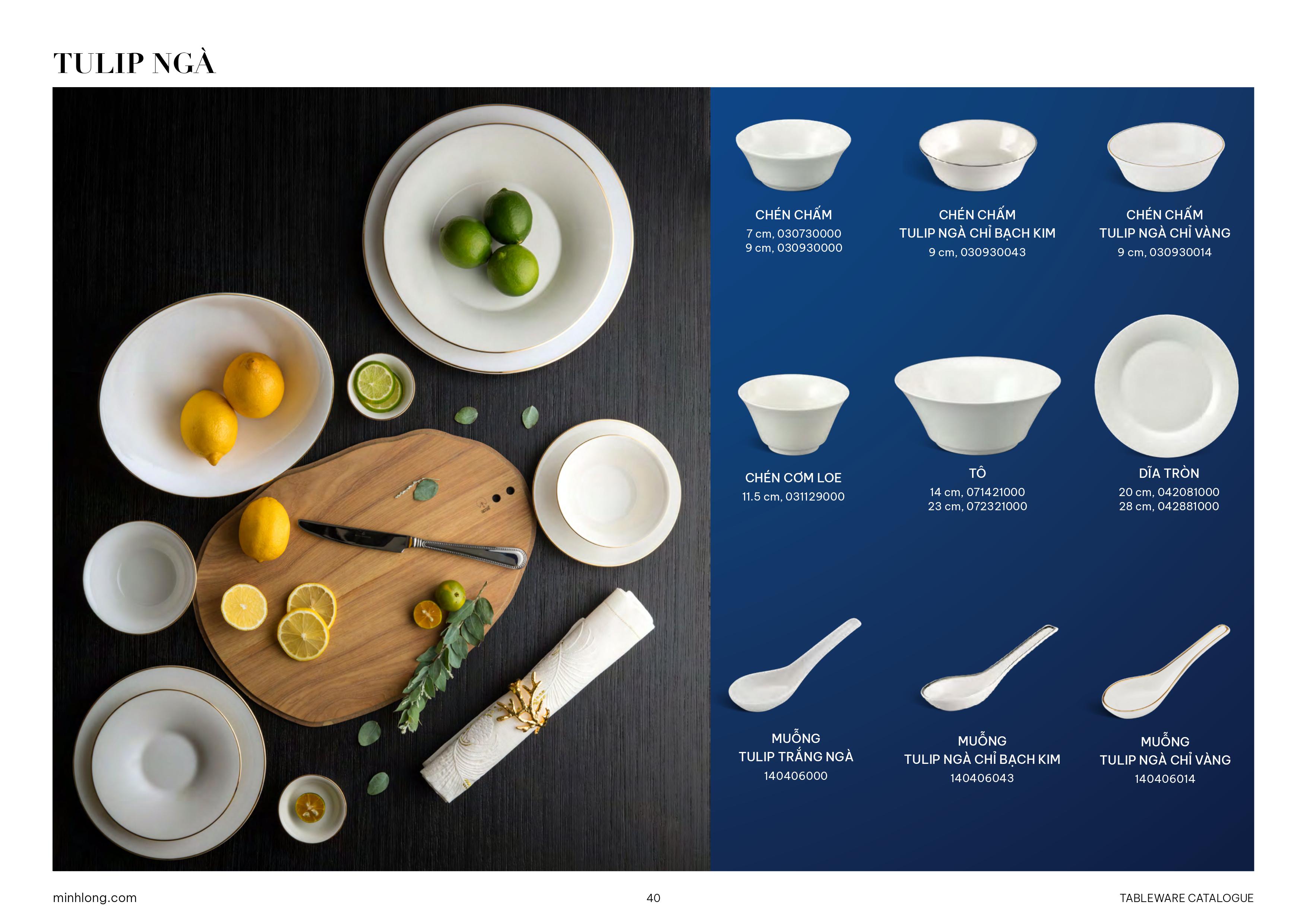 BỘ TRẮNG & NHÓM KHÁC