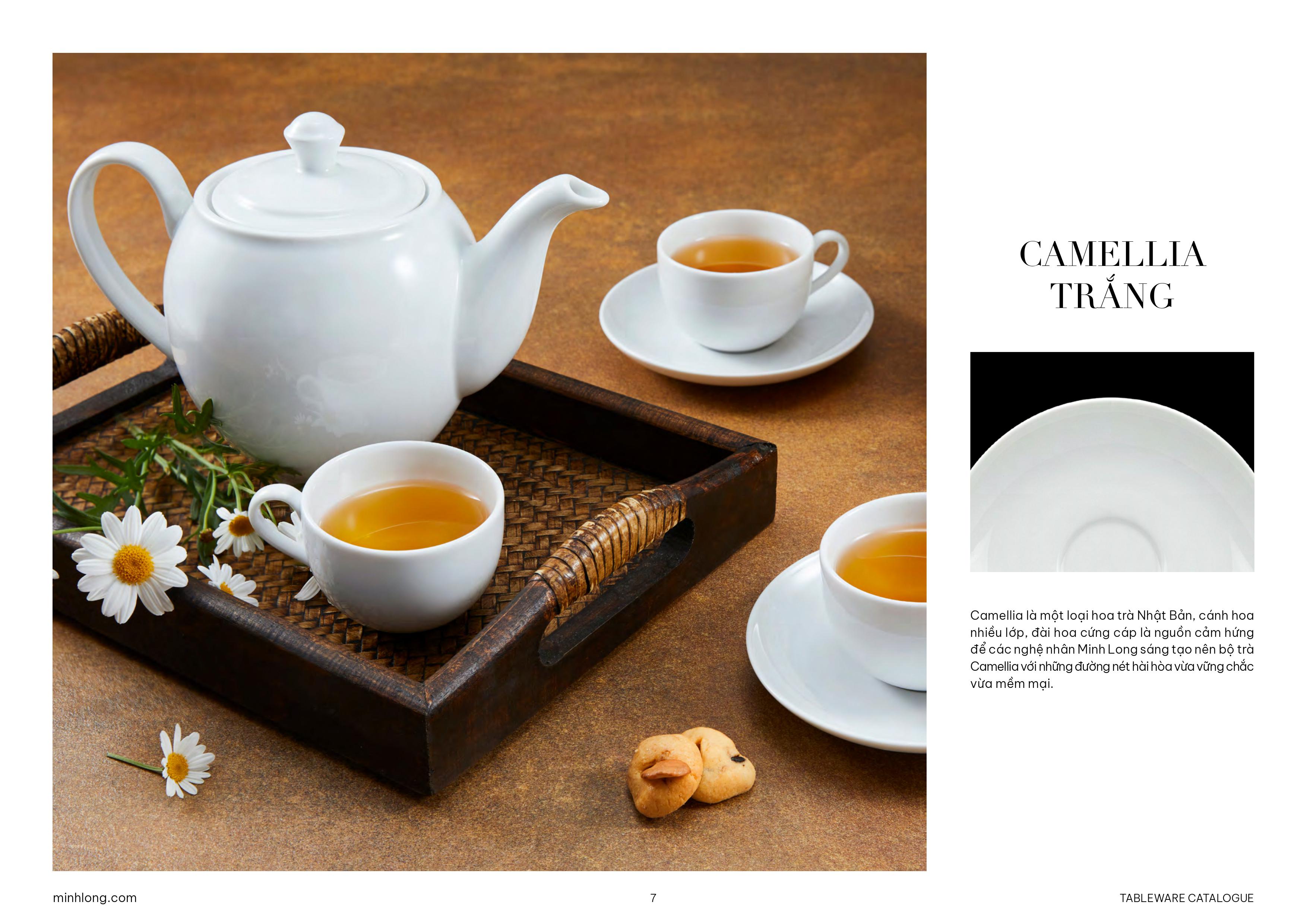 BỘ TRẮNG & NHÓM KHÁC