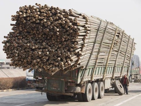 Lỗi điều khiển xe chở hàng vượt quá chiều dài quy định