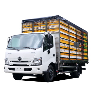 Xe Gia Cầm