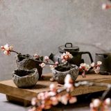 WABI SABI - Vẻ đẹp từ sự không hoàn hảo