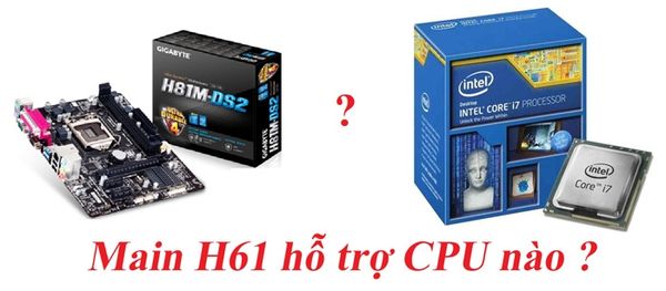 Main h61, h81, H110, H310, B365, B360, Z390 hỗ trợ CPU nào?