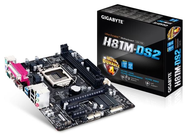 chip xeon cho main h81